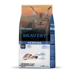 bravery cat