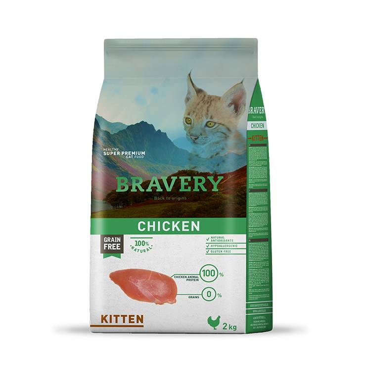 bravery gatinho grain free grain free gatinhos leiria