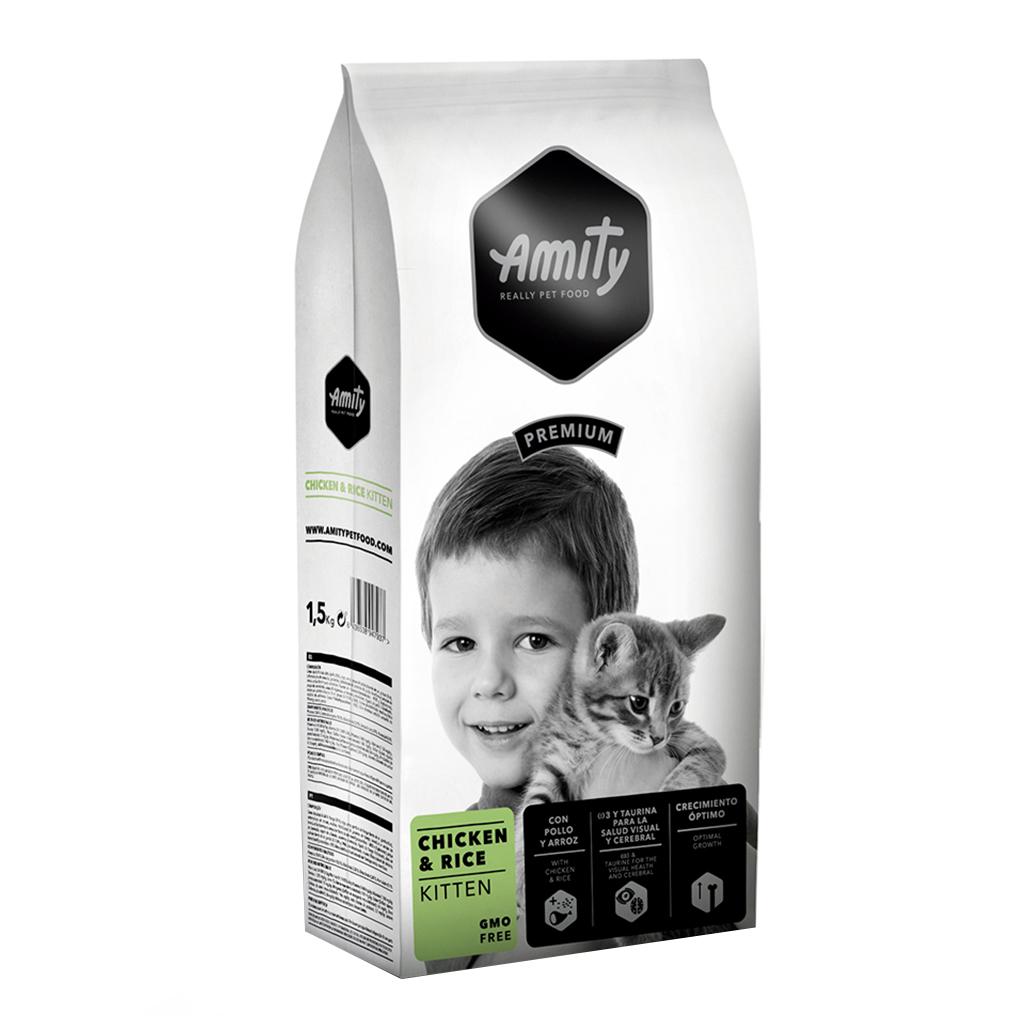 AM30020.jpg-1032x1032 amity kitten