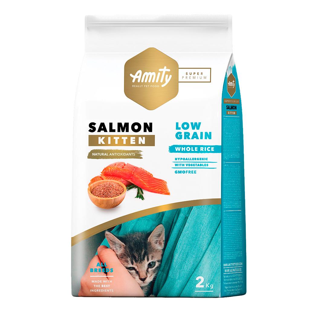 AM60012.jpg-1032x1032 amity kitten gatinho